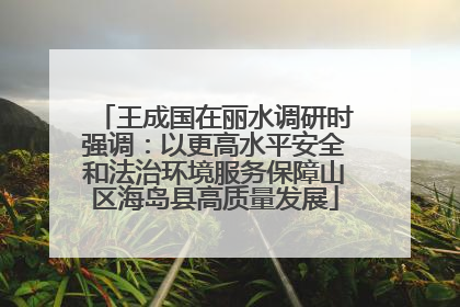 王成国在丽水调研时强调：以更高水平安全和法治环境服务保障山区海岛县高质量发展