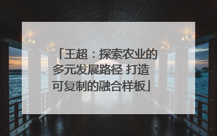 王超：探索农业的多元发展路径 打造可复制的融合样板