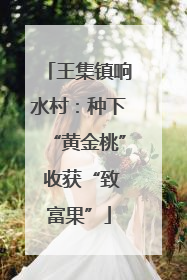 王集镇响水村：种下“黄金桃” 收获“致富果”