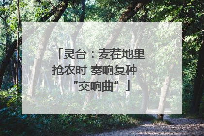 灵台：麦茬地里抢农时 奏响复种“交响曲”