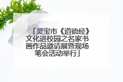 灵宝市《道德经》文化进校园之名家书画作品邀请展暨现场笔会活动举行