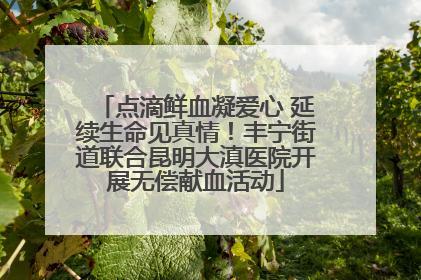 点滴鲜血凝爱心 延续生命见真情！丰宁街道联合昆明大滇医院开展无偿献血活动
