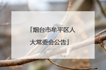烟台市牟平区人大常委会公告