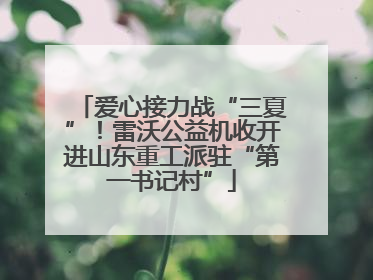 爱心接力战“三夏”！雷沃公益机收开进山东重工派驻“第一书记村”