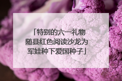 特别的六一礼物 随县红色阅读沙龙为军娃种下爱国种子