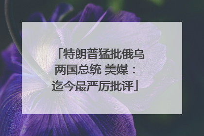 特朗普猛批俄乌两国总统 美媒：迄今最严厉批评