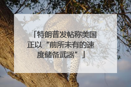 特朗普发帖称美国正以“前所未有的速度储备武器”