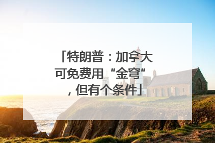 特朗普：加拿大可免费用“金穹”，但有个条件