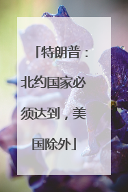 特朗普：北约国家必须达到，美国除外