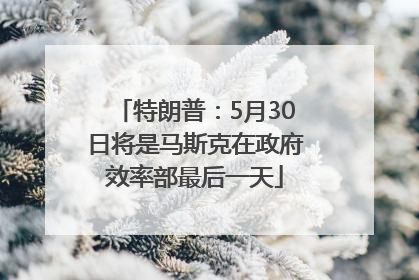 特朗普：5月30日将是马斯克在政府效率部最后一天