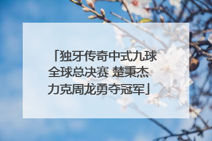 独牙传奇中式九球全球总决赛 楚秉杰力克周龙勇夺冠军
