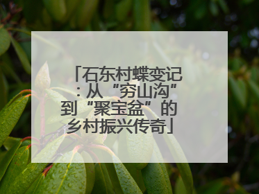 石东村蝶变记：从“穷山沟”到“聚宝盆”的乡村振兴传奇