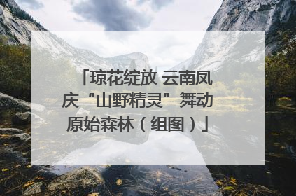 琼花绽放 云南凤庆“山野精灵”舞动原始森林（组图）