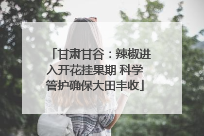 甘肃甘谷：辣椒进入开花挂果期 科学管护确保大田丰收