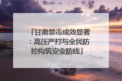 甘肃禁毒成效显著：高压严打与全民防控构筑安全防线