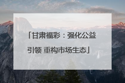 甘肃福彩：强化公益引领 重构市场生态