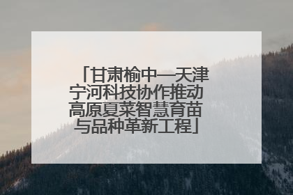 甘肃榆中—天津宁河科技协作推动高原夏菜智慧育苗与品种革新工程