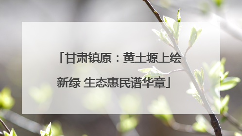 甘肃镇原：黄土塬上绘新绿 生态惠民谱华章