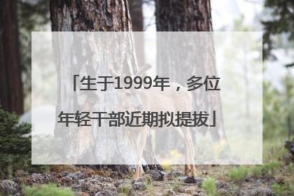 生于1999年，多位年轻干部近期拟提拔