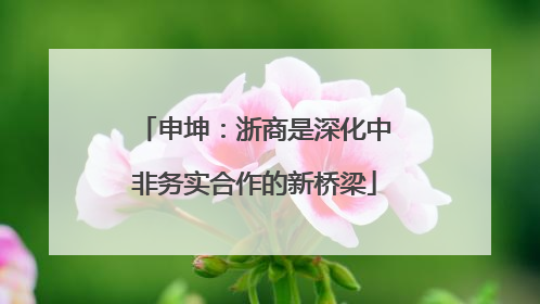 申坤：浙商是深化中非务实合作的新桥梁