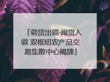 疆货出疆·闽货入疆 双枢纽农产品交易集散中心揭牌