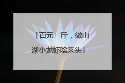 百元一斤，微山湖小龙虾啥来头