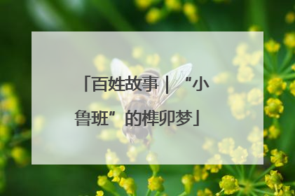 百姓故事｜“小鲁班”的榫卯梦