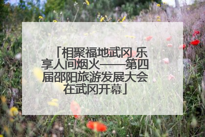 相聚福地武冈 乐享人间烟火——第四届邵阳旅游发展大会在武冈开幕