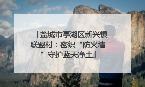 盐城市亭湖区新兴镇联盟村：密织“防火墙”守护蓝天净土