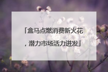 盒马点燃消费新火花，潜力市场活力迸发
