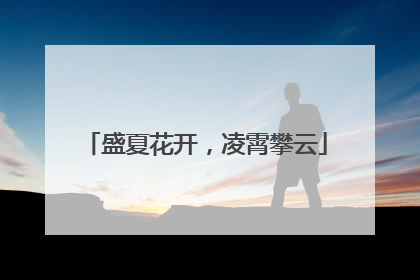 盛夏花开，凌霄攀云