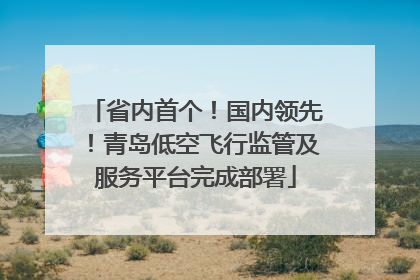 省内首个！国内领先！青岛低空飞行监管及服务平台完成部署