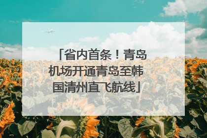 省内首条！青岛机场开通青岛至韩国清州直飞航线
