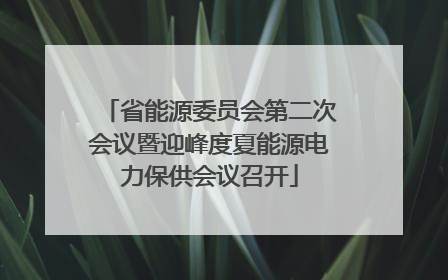 省能源委员会第二次会议暨迎峰度夏能源电力保供会议召开