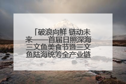 破浪向鲜 链动未来——首届日照深海三文鱼美食节暨三文鱼陆海统筹全产业链发展会议嘉宾访谈