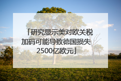 研究显示美对欧关税加码可能导致德国损失2500亿欧元
