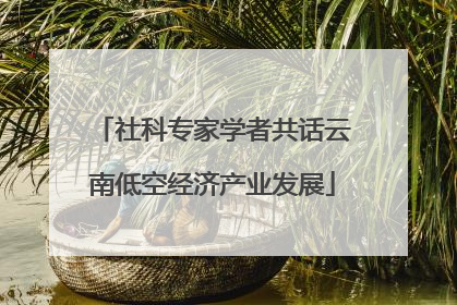 社科专家学者共话云南低空经济产业发展