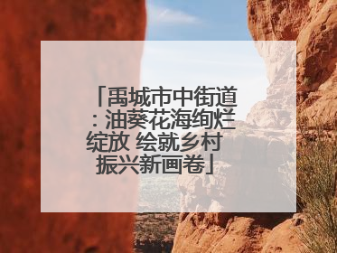 禹城市中街道：油葵花海绚烂绽放 绘就乡村振兴新画卷