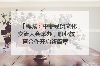 禹城：中菲经贸文化交流大会举办，职业教育合作开启新篇章