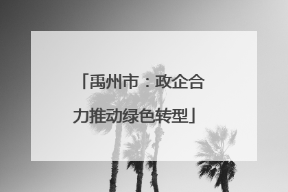 禹州市：政企合力推动绿色转型