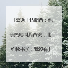 离谱！特朗普：他亲热地叫我爸爸，北约秘书长：我没有