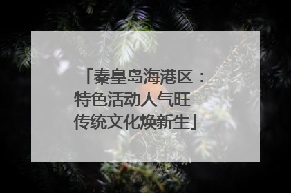 秦皇岛海港区：特色活动人气旺 传统文化焕新生