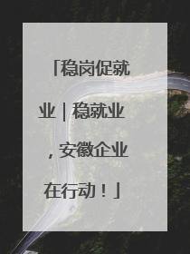 稳岗促就业｜稳就业，安徽企业在行动！
