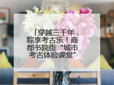 穿越三千年，粽享考古乐！商都书院街“城市考古体验课堂”端午“开课”