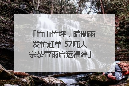 竹山竹坪：晴制雨发忙赶单 57吨大宗茶冒雨启运福建