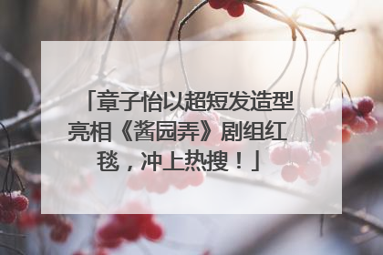 章子怡以超短发造型亮相《酱园弄》剧组红毯，冲上热搜！