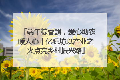端午粽香飘，爱心助农暖人心｜亿膳坊以产业之火点亮乡村振兴路