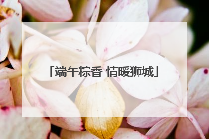 端午粽香 情暖狮城