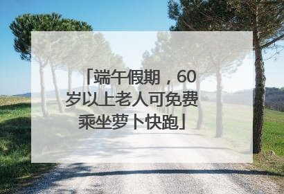 端午假期，60岁以上老人可免费乘坐萝卜快跑