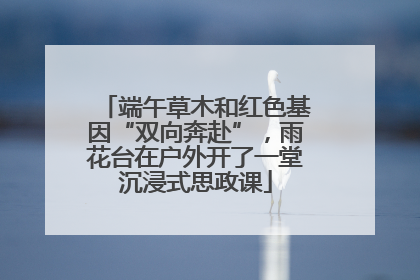 端午草木和红色基因“双向奔赴”，雨花台在户外开了一堂沉浸式思政课